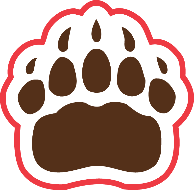 Brown Bears 1997-Pres Secondary Logo diy iron on heat transfer
